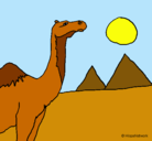 Dibujo Camello pintado por lucia