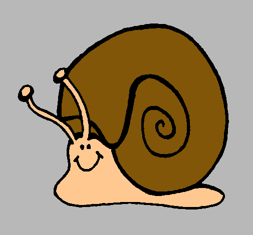 Caracol 