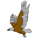 Dibujo Águila volando pintado por cody