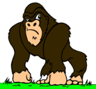 Dibujo Gorila pintado por rogerguardar