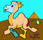 Dibujo Camello pintado por valeria3