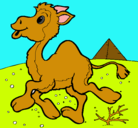 Dibujo Camello pintado por josemanuel