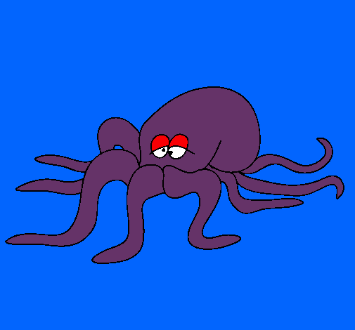 Pulpo