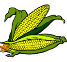 Dibujo Mazorca de maíz pintado por car