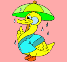 Dibujo Pato bajo la lluvia pintado por Miscle