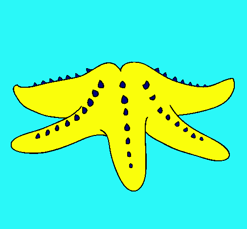 Estrella de mar