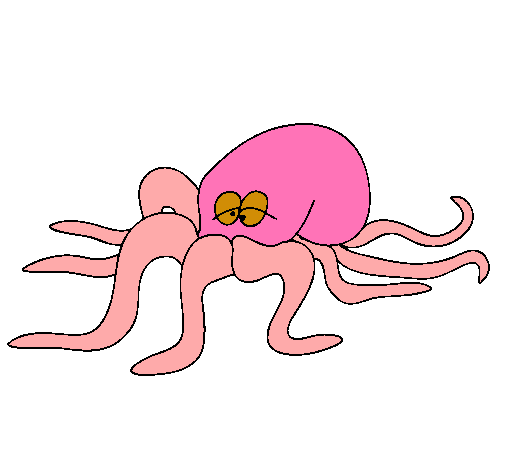 Pulpo