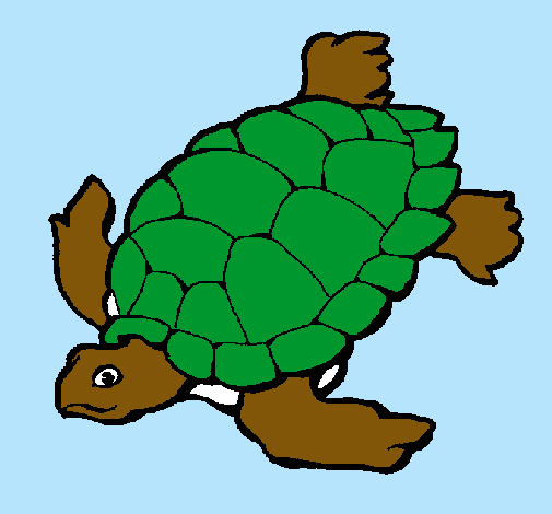 Tortuga