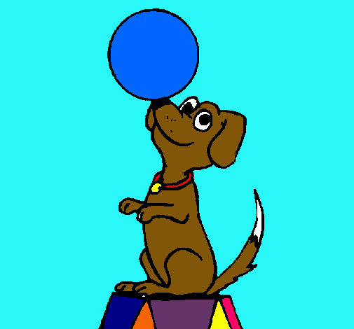 Perro de circo