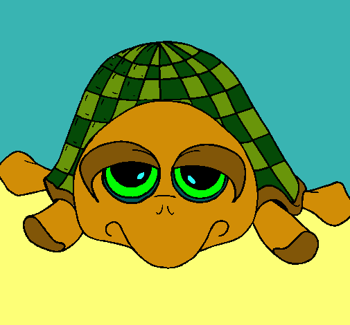 Tortuga