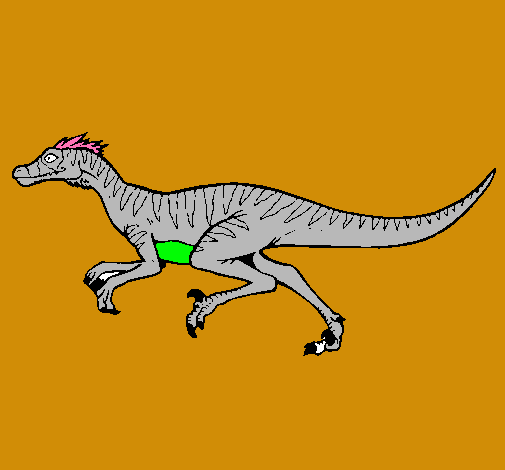 Velociraptor