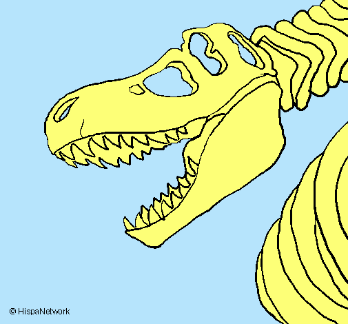 Esqueleto tiranosaurio rex