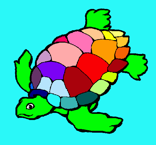 Tortuga