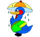 Dibujo Pato bajo la lluvia pintado por pedron