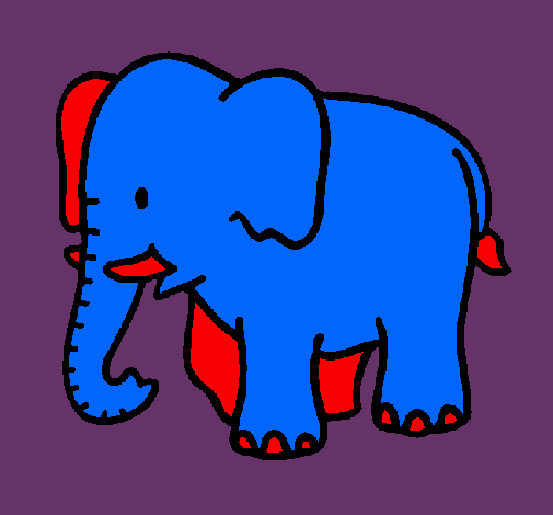 Elefante bebe