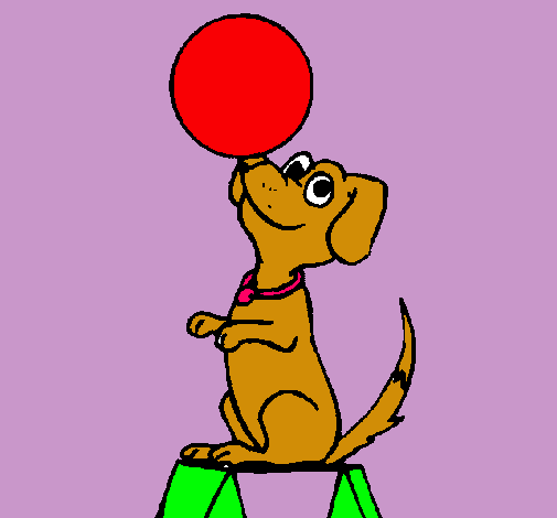 Perro de circo