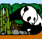 Dibujo Oso panda y bambú pintado por set