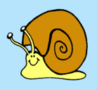 Dibujo Caracol  pintado por EME