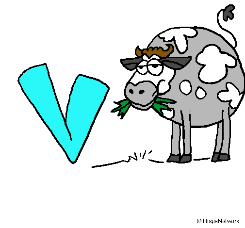 Vaca