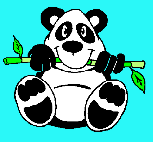 Oso panda