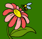 Dibujo Margarita con abeja pintado por jaavi