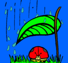 Dibujo Mariquita protegida de la lluvia pintado por kiiki