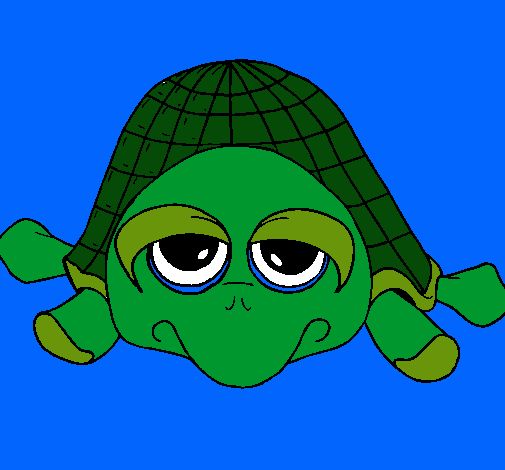 Tortuga