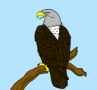 Dibujo Águila en una rama pintado por ATUS