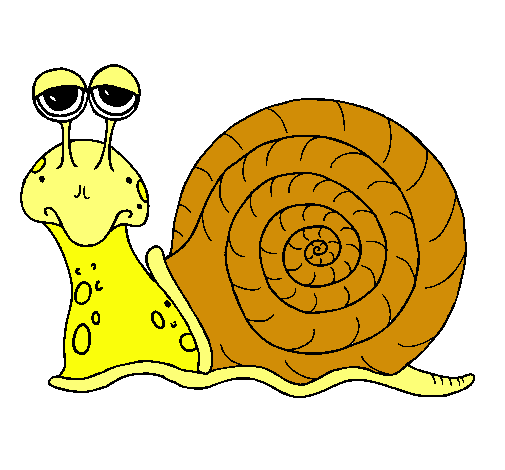 Caracol