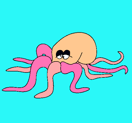 Pulpo