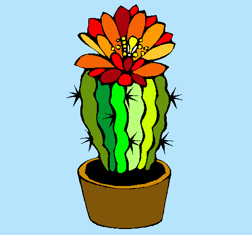 Cactus con flor