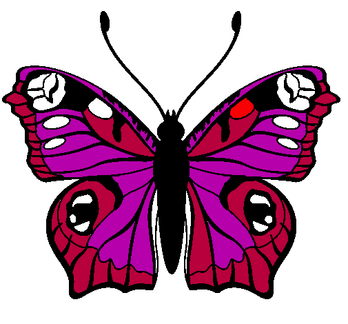 Mariposa 