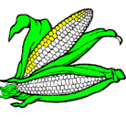 Dibujo Mazorca de maíz pintado por benjamin
