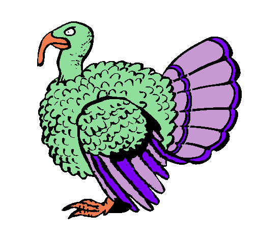 Pavo 