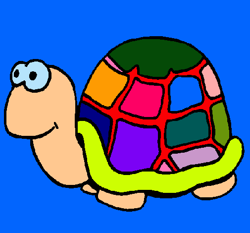 Tortuga