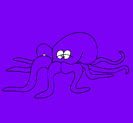 Pulpo