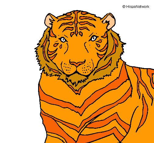 Tigre