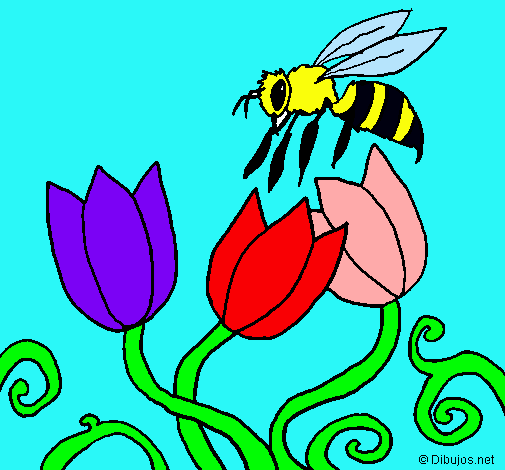 Abeja