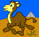 Dibujo Camello pintado por CristobalMardonesA.