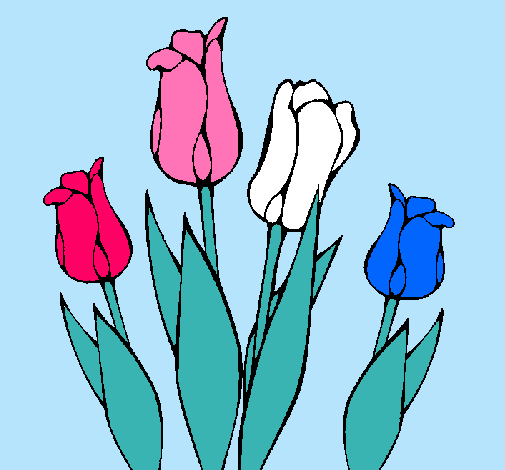 Tulipanes