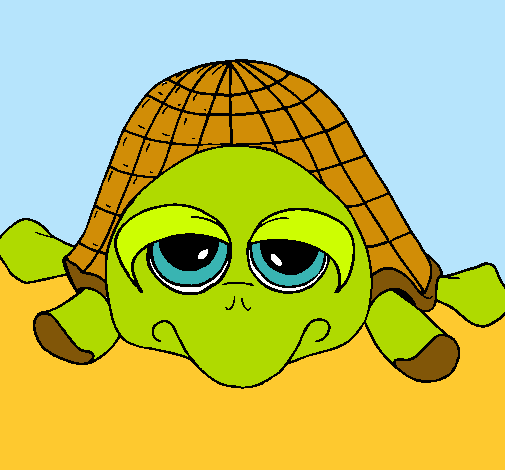 Tortuga