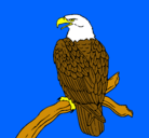 Dibujo Águila en una rama pintado por yaya
