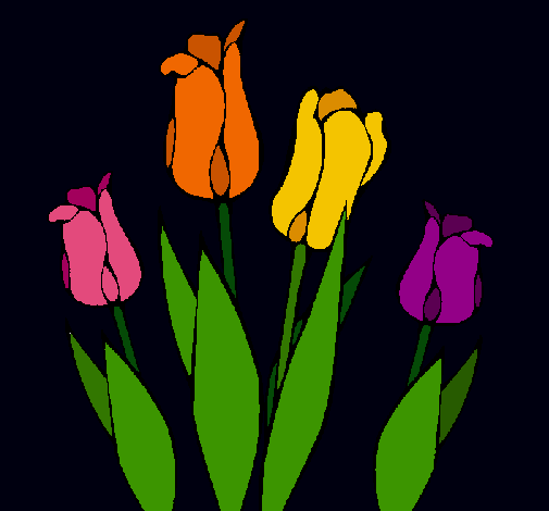 Tulipanes