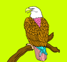 Dibujo Águila en una rama pintado por NATALIA