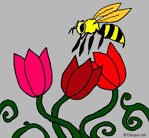 Abeja