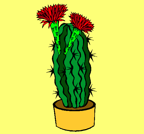 Cactus con flores