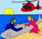 Dibujo Rescate ballena pintado por piches