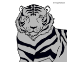 Dibujo Tigre pintado por juancelis