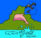 Dibujo Delfín y gaviota pintado por feli