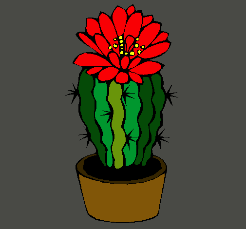 Cactus con flor